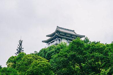 PC Gamer致信Intel：你是我们走出显卡危机的唯一出路